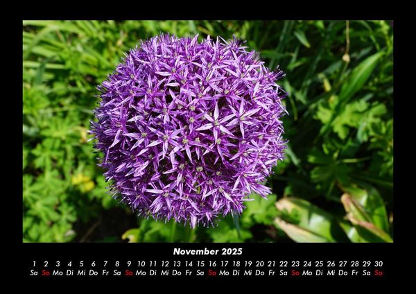Produktbild: Blumentr&auml;ume 2025 Fotokalender DIN A3