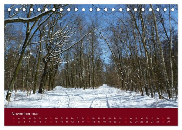 Produktbild: Falkensee - Das Tor zum Havelland (Tischkalender 2026 DIN A5 quer), CALVENDO Monatskalender