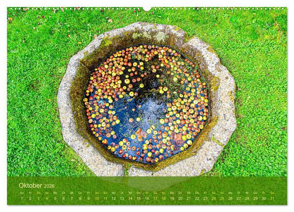 Produktbild: der staudengarten zu bad hersfeld (Wandkalender 2026 DIN A2 quer), CALVENDO Monatskalender