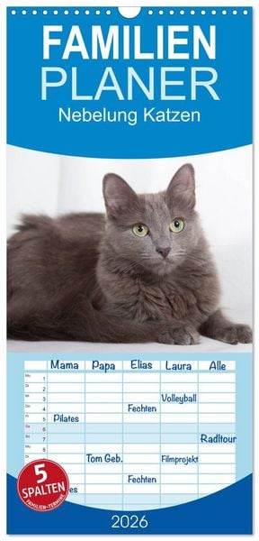 Produktbild: Familienplaner 2026 - Nebelung Katzen mit 5 Spalten (Wandkalender, 21 x 45 cm) CALVENDO