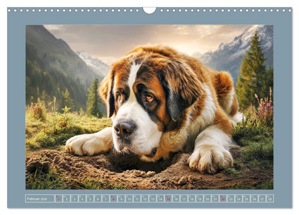 Produktbild: K&ouml;nigliche Bernhardiner. Die sanften Riesen der Alpen (Wandkalender 2026 DIN A3 quer), CALVENDO Monatskalender