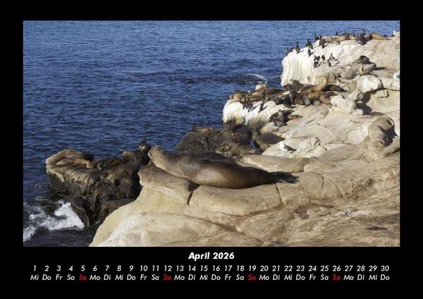 Produktbild: Seeblick 2026 Fotokalender DIN A3