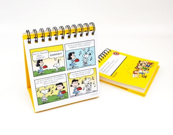 Produktbild: Feiern mit den Peanuts. Das Beste von Charlie Brown, Snoopy & Co.