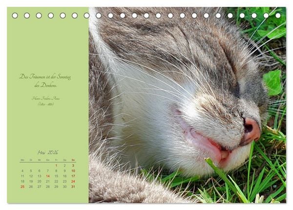 Produktbild: H&auml;ng einfach mal ab (Tischkalender 2026 DIN A5 quer), CALVENDO Monatskalender