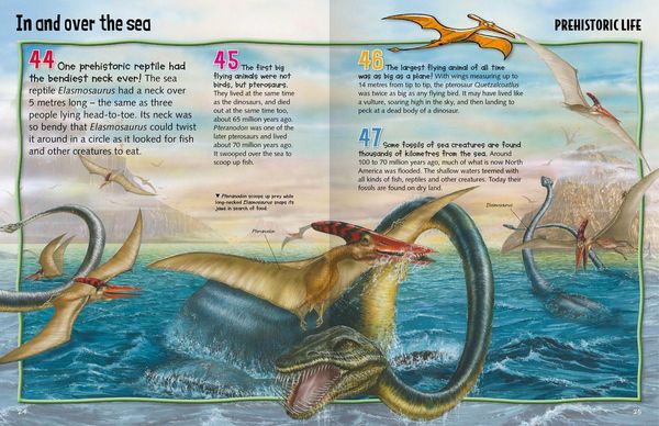 Produktbild: Wild About Dinosaurs