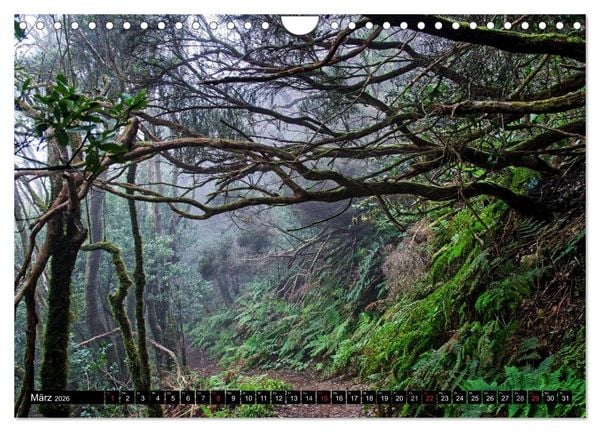Produktbild: Teneriffas rauer Norden (Wandkalender 2026 DIN A4 quer), CALVENDO Monatskalender