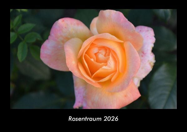 Produktbild: Rosentraum 2026 Fotokalender DIN A3