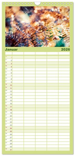 Produktbild: Familienplaner 2026 - Farne vom Licht umtanzt mit 5 Spalten (Wandkalender, 21 x 45 cm) CALVENDO