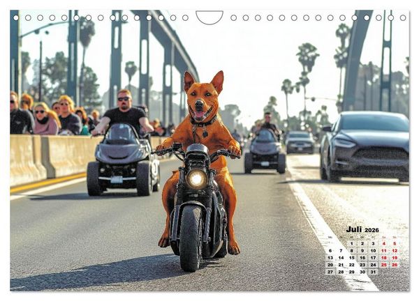Produktbild: S&uuml;&szlig;e Hunde cruisen - durch das Jahr mit dem Hundekalender (Wandkalender 2026 DIN A4 quer), CALVENDO Monatskalender