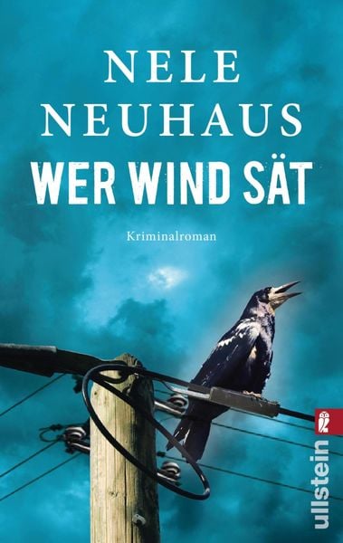 Wer Wind sät / Oliver von Bodenstein Bd.5