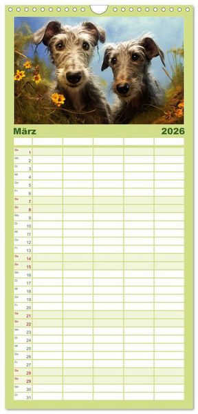 Produktbild: Familienplaner 2026 - Lurcher Portraits - Zwei Welpen entdecken die Welt mit 5 Spalten (Wandkalender, 21 x 45 cm) CALVENDO