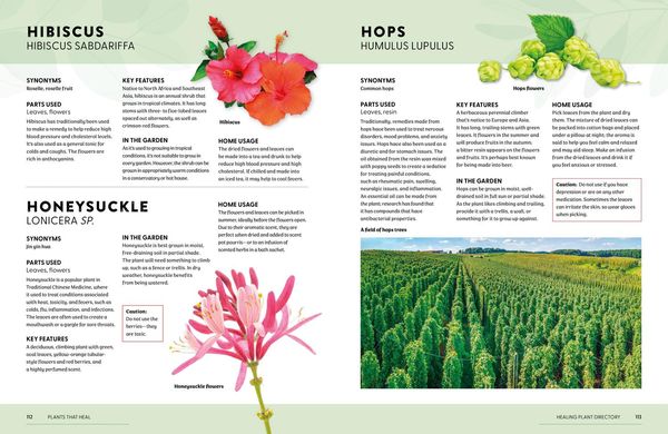 Produktbild: Plants That Heal Hb