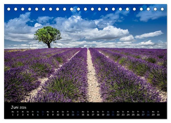 Produktbild: Provence - Lavendelbl&uuml;te (Tischkalender 2026 DIN A5 quer), CALVENDO Monatskalender
