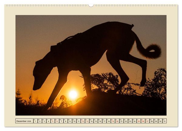 Produktbild: Mit dem Windhund unterwegs im zauberhaften Bergischen Land (Wandkalender 2026 DIN A2 quer), CALVENDO Monatskalender