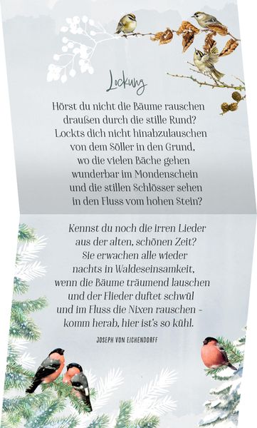Produktbild: Zauberhafte Weihnachtszeit, Coffee-Table-Adventskal.(Bastin)
