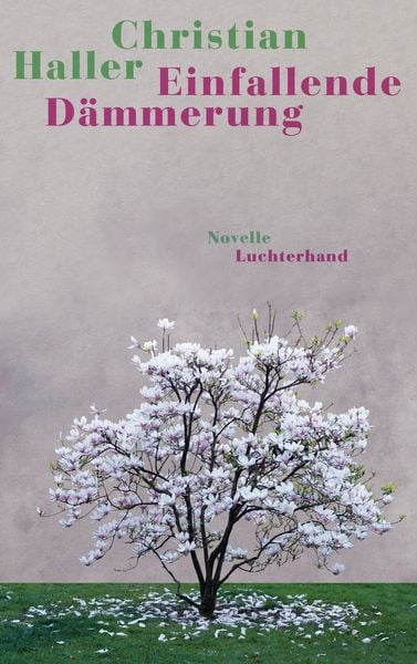 Produktbild: Einfallende D&auml;mmerung