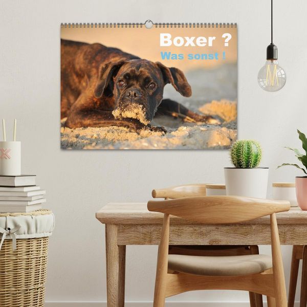 Produktbild: Boxer ? Was sonst ! (Wandkalender 2026 DIN A3 quer), CALVENDO Monatskalender