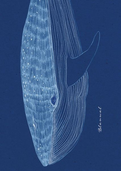 Produktbild: Meer-verliebt "Fische"