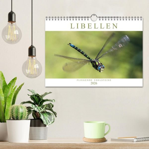 Produktbild: Libellen - Fliegende Edelsteine (Wandkalender 2026 DIN A4 quer), CALVENDO Monatskalender
