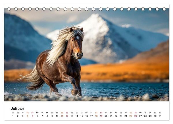 Produktbild: Islandpferde - Freiheit im Blick (Tischkalender 2026 DIN A5 quer), CALVENDO Monatskalender