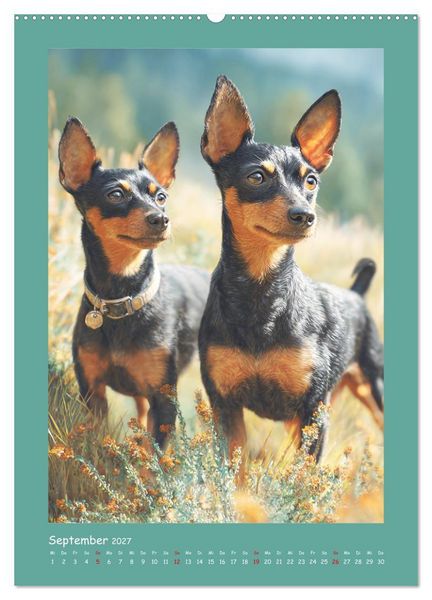 Produktbild: Mini-Pinscher. Kleine Hunde in sch&ouml;nen Momenten (hochwertiger Premium Wandkalender 2027 DIN A2 hoch), Kunstdruck in Hochglanz