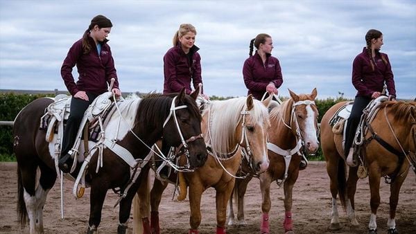 Produktbild: Heartland - Paradies f&uuml;r Pferde - Staffel 10.1 [3 DVDs]