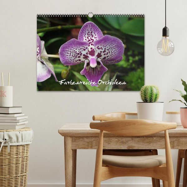 Produktbild: Farbenreiche Orchideen (Wandkalender 2026 DIN A3 quer), CALVENDO Monatskalender