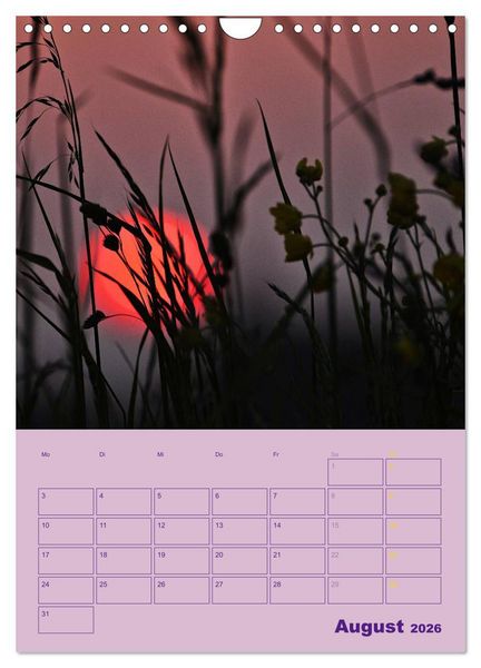 Produktbild: Wald- und Wiesenkalender 2026 Planer (Wandkalender 2026 DIN A4 hoch), CALVENDO Monatskalender