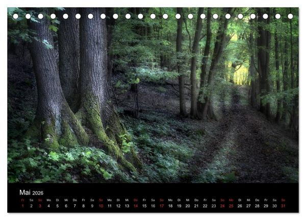 Produktbild: Waldkalender (Tischkalender 2026 DIN A5 quer), CALVENDO Monatskalender