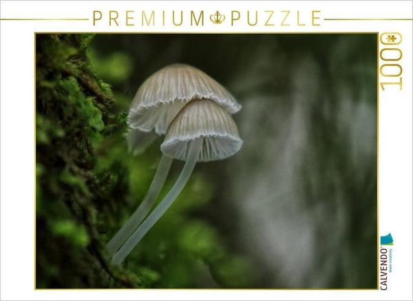 Produktbild: CALVENDO Puzzle Ein Motiv aus dem Kalender Pilze, die stillen Waldbewohner 2019 | 1000 Teile Lege-Gr&ouml;&szlig;e 64x48cm Foto-Puzzle f&uuml;r gl&uuml;ckliche Stunden