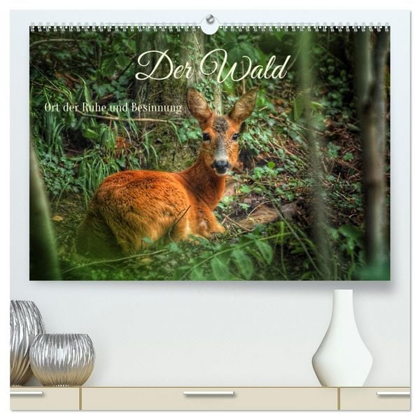 Der Wald - Ort der Ruhe und Besinnung (hochwertiger Premium Wandkalender 2026 DIN A2 quer), Kunstdruck in Hochglanz