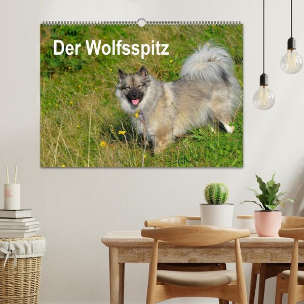Produktbild: Der Wolfsspitz (Wandkalender 2026 DIN A2 quer), CALVENDO Monatskalender