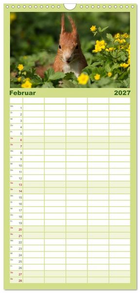 Produktbild: Familienplaner 2027 - Mit dem Eichh&ouml;rnchen durchs Jahr mit 5 Spalten (Wandkalender, 21 x 45 cm) CALVENDO