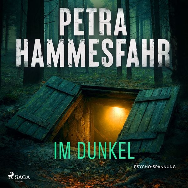 Im Dunkel
