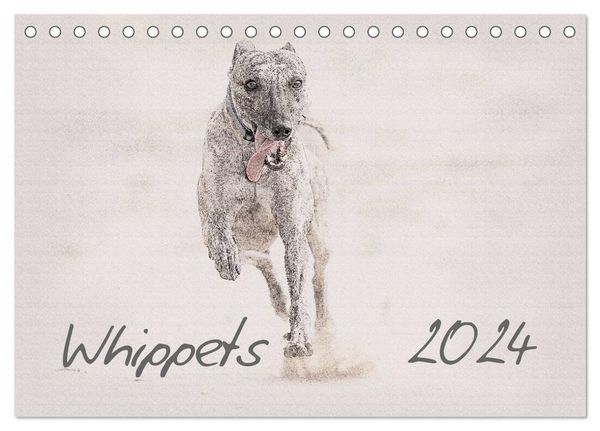 Whippet 2024 (Tischkalender 2024 DIN A5 quer), CALVENDO Monatskalender