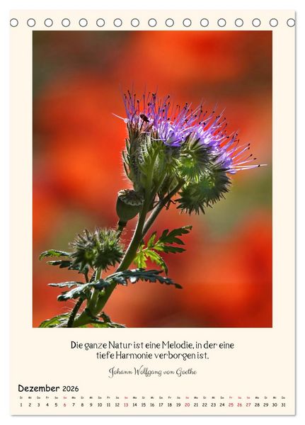 Produktbild: Verborgene Sch&ouml;nheiten am Wegesrand (Tischkalender 2026 DIN A5 hoch), CALVENDO Monatskalender