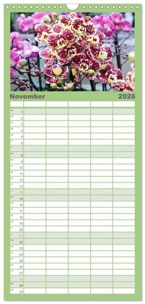 Produktbild: Familienplaner 2026 - Pr&auml;chtige Orchideen mit 5 Spalten (Wandkalender, 21 x 45 cm) CALVENDO
