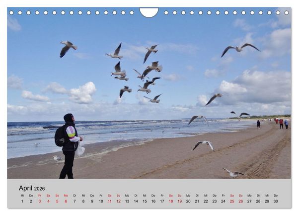 Produktbild: Ostsee von Heringsdorf bis Hiddensee (Wandkalender 2026 DIN A4 quer), CALVENDO Monatskalender