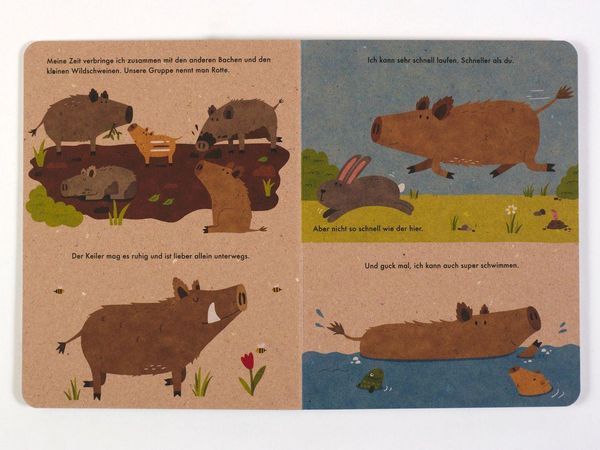 Produktbild: Ich bin das Wildschwein