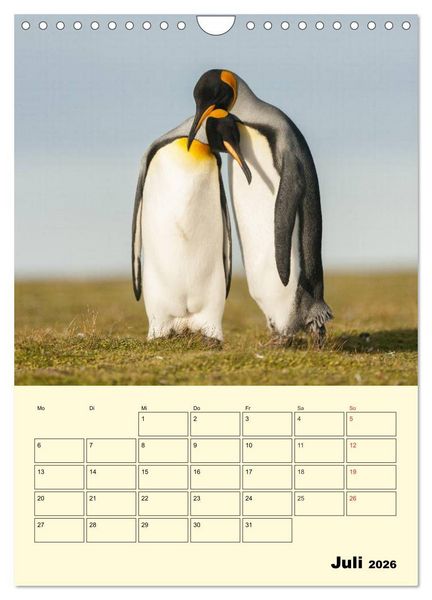 Produktbild: Pinguine. Wackeln im Thermo-Frack (Wandkalender 2026 DIN A4 hoch), CALVENDO Monatskalender