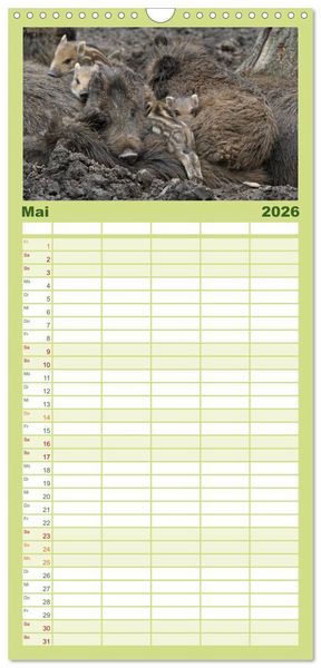 Produktbild: Familienplaner 2026 - Schweinkram - Die Wildschweine sind los mit 5 Spalten (Wandkalender, 21 x 45 cm) CALVENDO