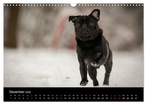 Produktbild: Vermopst durchs Jahr (Wandkalender 2026 DIN A3 quer), CALVENDO Monatskalender