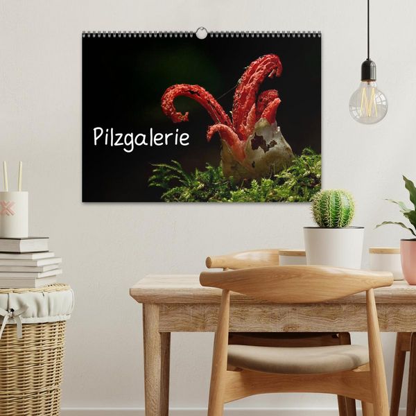 Produktbild: Pilzgalerie (Wandkalender 2026 DIN A3 quer), CALVENDO Monatskalender