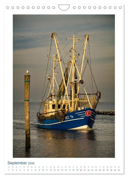 Produktbild: Ostfriesland - Fotos von forstfotografie (Wandkalender 2026 DIN A4 hoch), CALVENDO Monatskalender