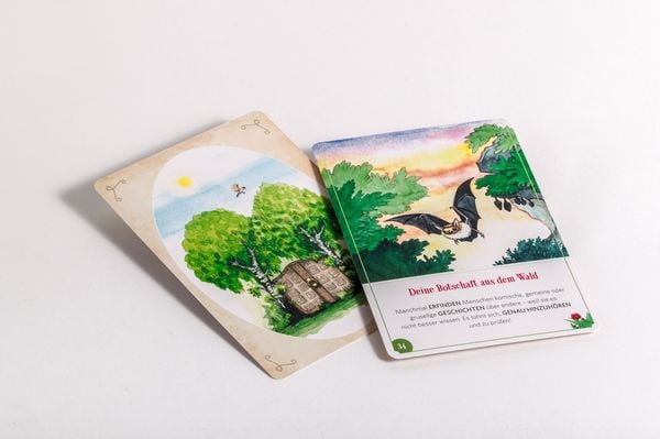 Produktbild: Wilder Weiser Wald. Achtsame Botschaften, die Kinderseelen st&auml;rken. Kartenset
