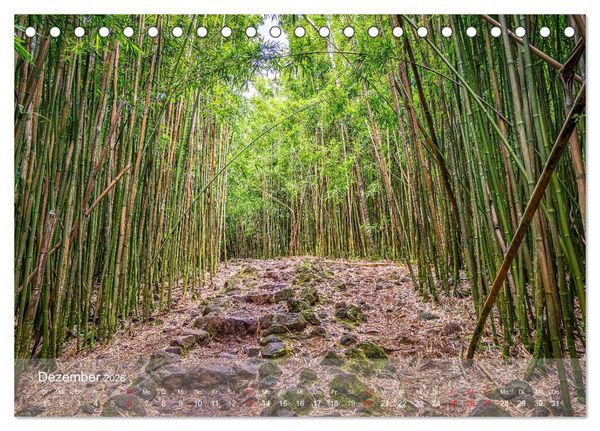 Produktbild: Hawaii - Maui Trauminsel im Pazifik (Tischkalender 2026 DIN A5 quer), CALVENDO Monatskalender