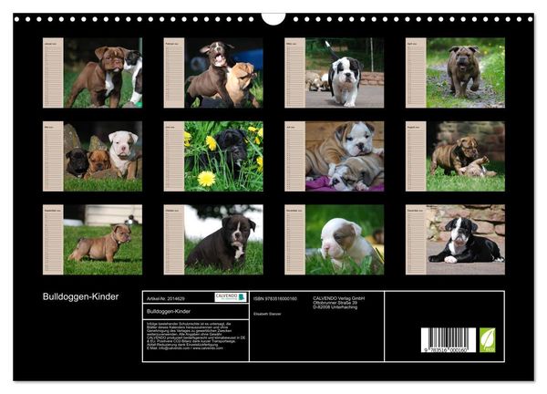 Produktbild: Bulldoggen-Kinder (Wandkalender 2026 DIN A3 quer), CALVENDO Monatskalender