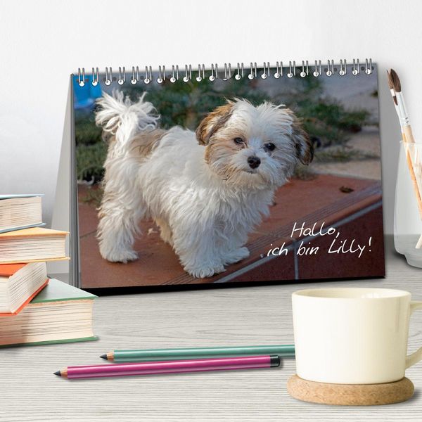 Produktbild: Hallo, ich bin Lilly (Tischkalender 2026 DIN A5 quer), CALVENDO Monatskalender