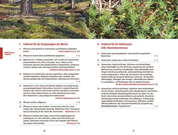 Produktbild: Moose des Waldbodens