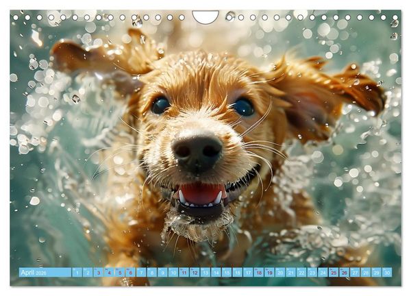 Produktbild: Hunde und Wasser (Wandkalender 2026 DIN A4 quer), CALVENDO Monatskalender